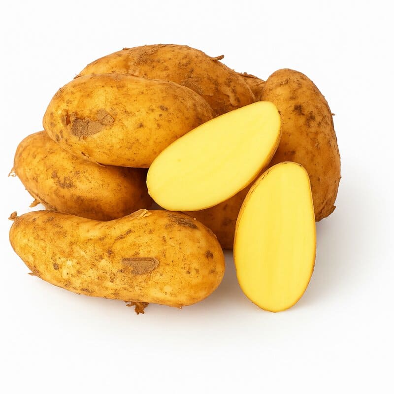 تصویر 2 از خرید و قیمت سیب زمینی سفید + فروش عمده